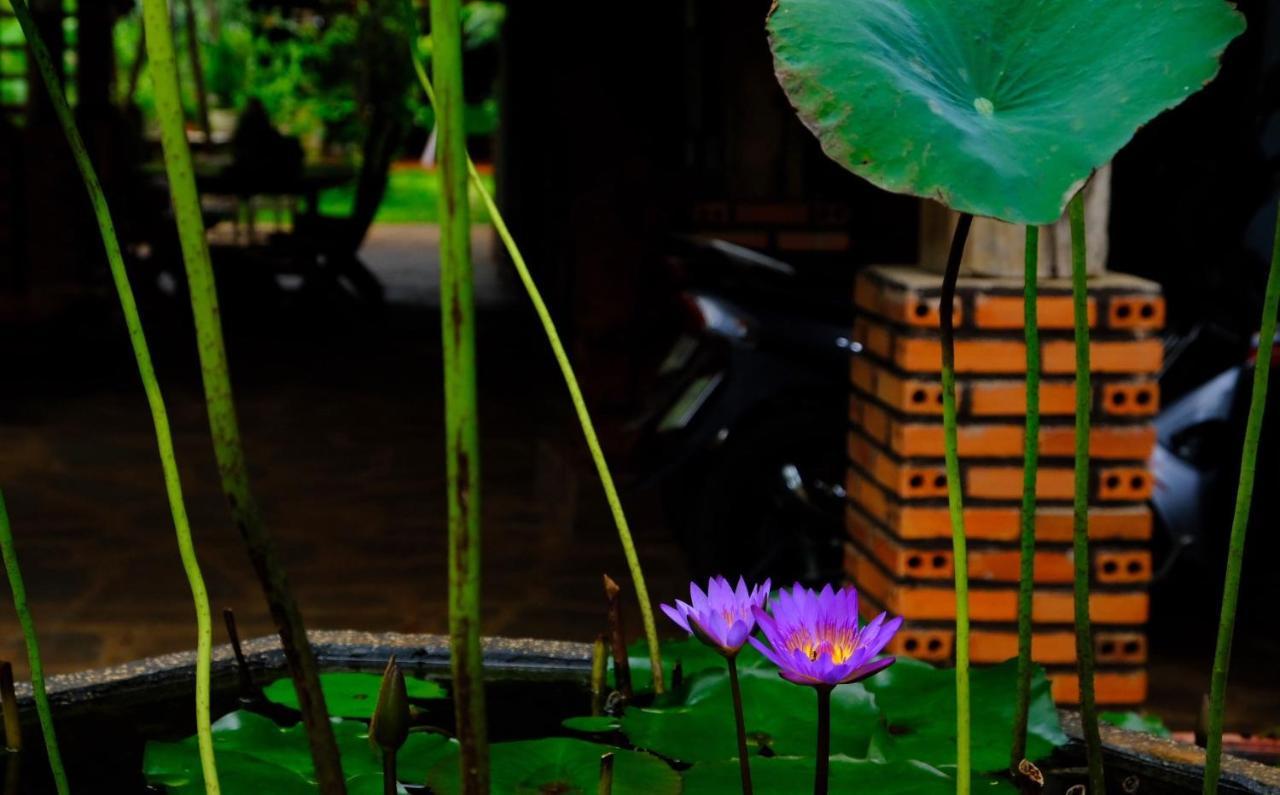 Plei Homestay & Cafe بلايكو المظهر الخارجي الصورة