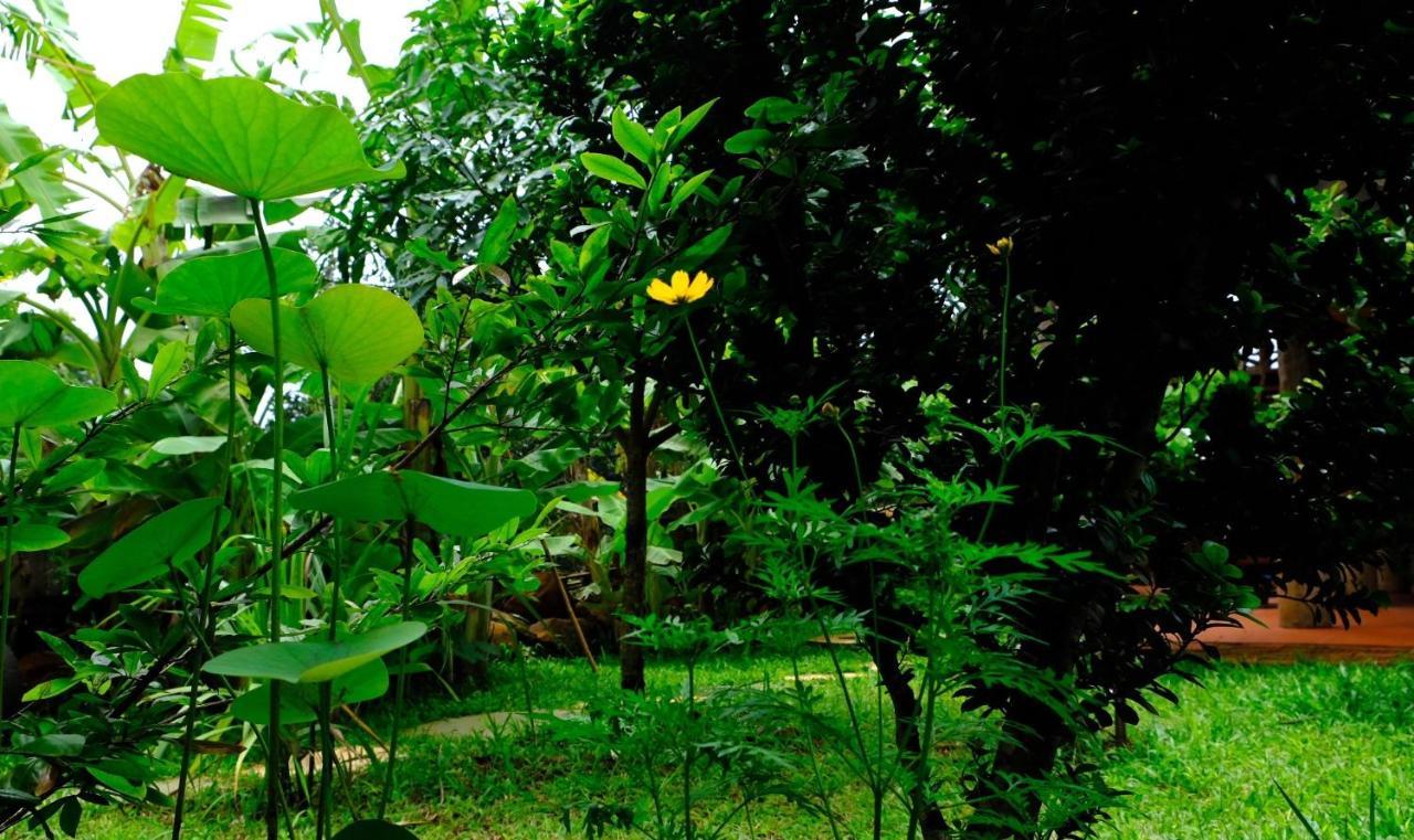 Plei Homestay & Cafe بلايكو المظهر الخارجي الصورة